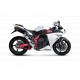 AKRAPOVIC 2 Slip-on carboni-carboni